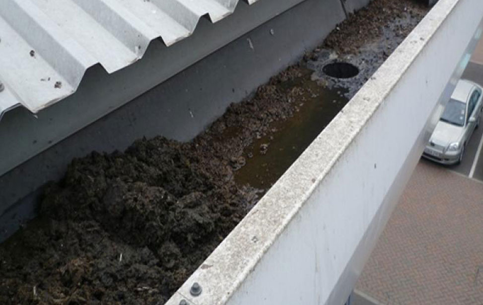 Commercial gutter cleaning and maintenance Wolverhampton