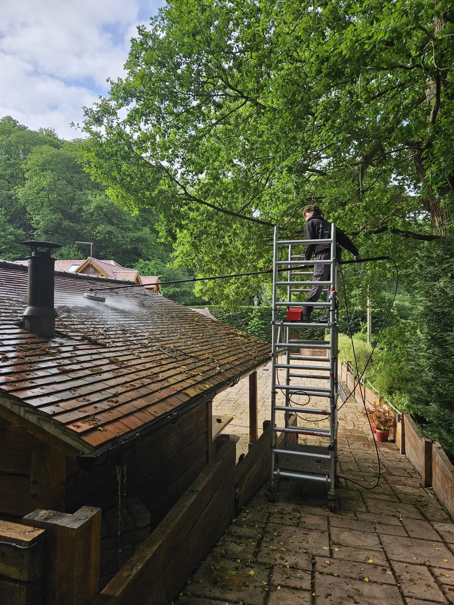m_roof_cleaning_15.JPG