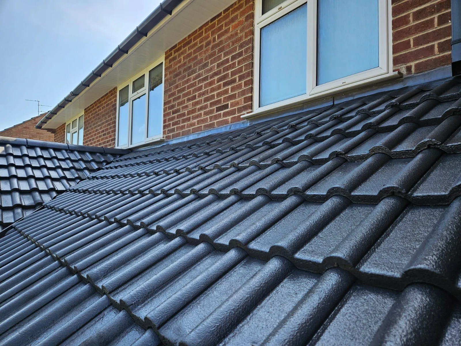 m_roof_coating_3.JPG